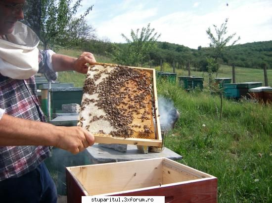o zi de stors cu peripetii - totul a inceput bine - POZE