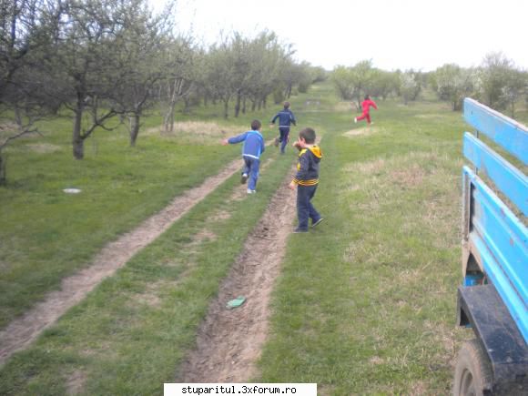 pagina mea :hi: - Se vad aici cativa pomi infloriti. Atunci - PAGINI PERSONALE ! CINE SUNT EU ?