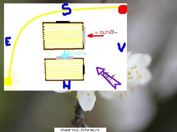 patul ??? rece sau cald - Ion Marian - INTRETINEREA ALBINELOR