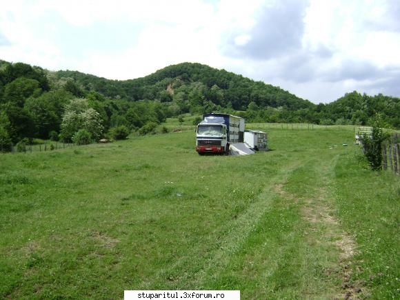 pavilionul nostru - cipy - POZE