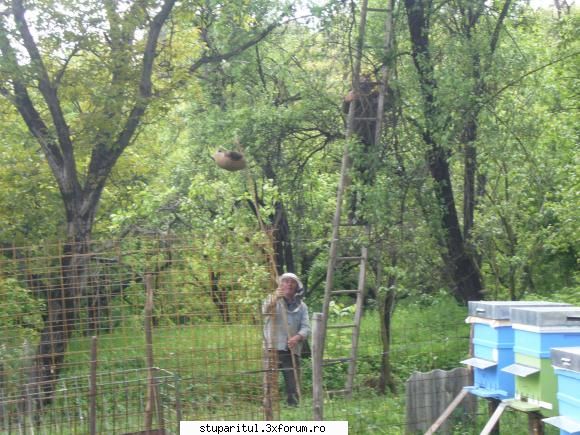 poze kio - Coborat cu bine - POZE