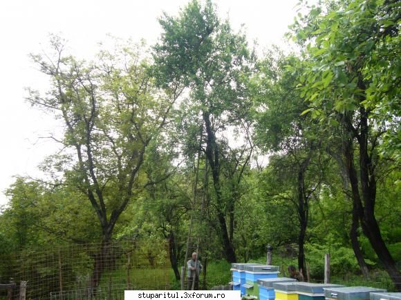 poze kio - Cam la inaltimea asta s-a postat - POZE