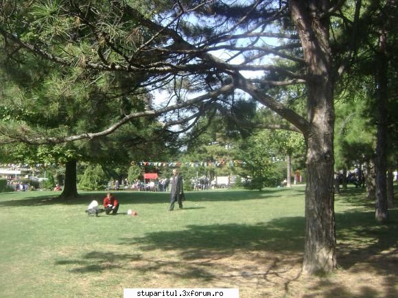 pozele lu proapis13 - Putzina odihna in parc n-ar strica - POZE