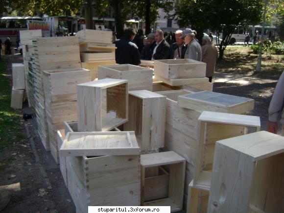 pozele lu proapis13 - proapis13 - POZE