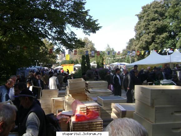 pozele lu proapis13 - proapis13 - POZE