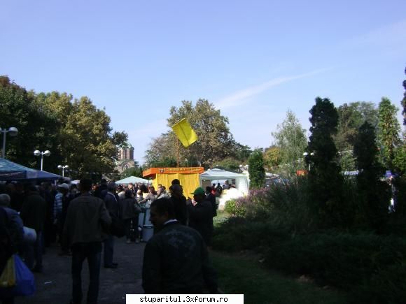 pozele lu proapis13 - proapis13 - POZE