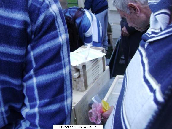 pozele lu proapis13 - proapis13 - POZE