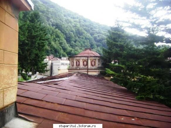 pozele lu proapis13 - proapis13 - POZE