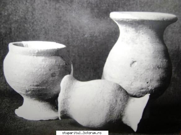 pozele lu proapis13 - ceramica grosiera - POZE