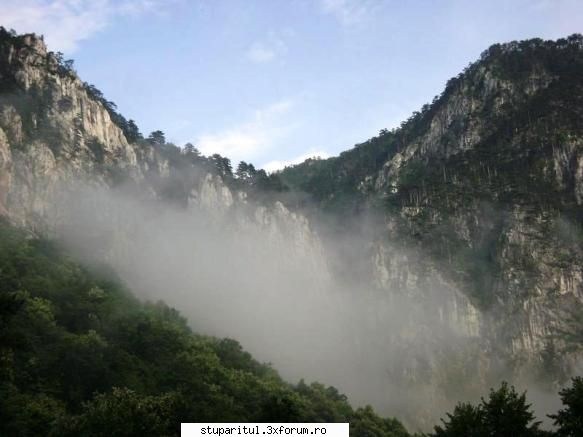 pozele lu proapis13 - proapis13 - POZE