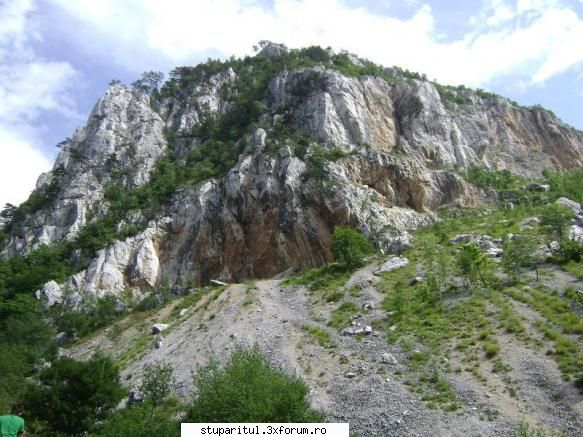 pozele lu proapis13 - proapis13 - POZE