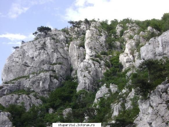 pozele lu proapis13 - proapis13 - POZE