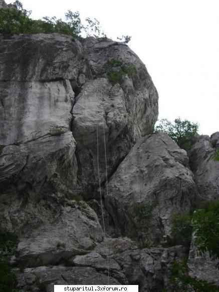 pozele lu proapis13 - proapis13 - POZE