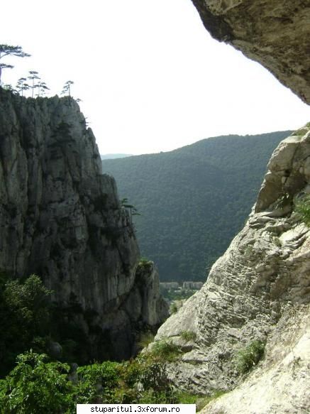 pozele lu proapis13 - proapis13 - POZE