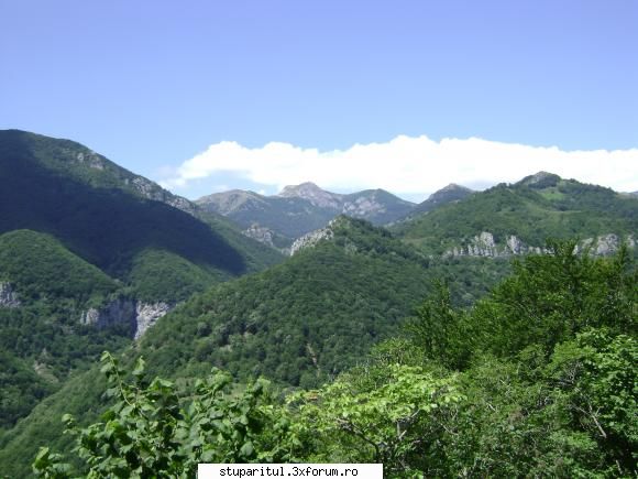 pozele lu proapis13 - proapis13 - POZE