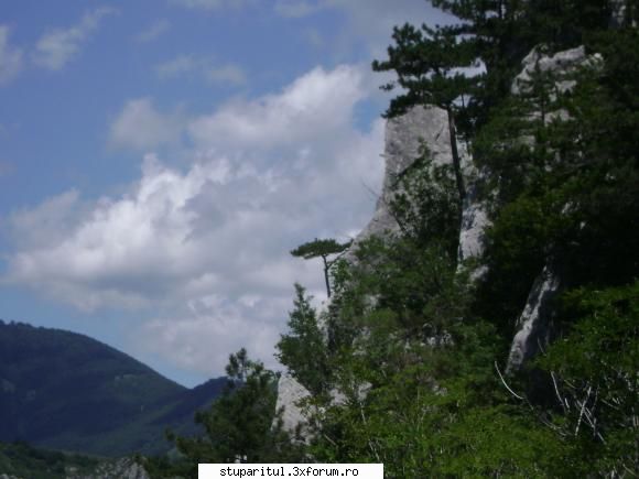 pozele lu proapis13 - toate pozele sunt facute in Cheile Tasnei - POZE