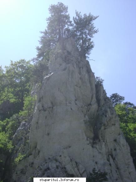 pozele lu proapis13 - proapis13 - POZE