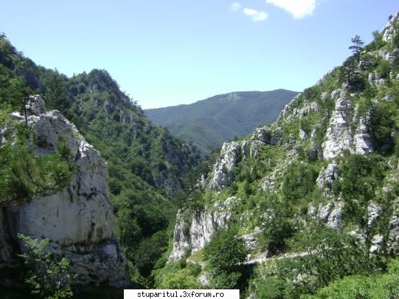 pozele lu proapis13 - proapis13 - POZE