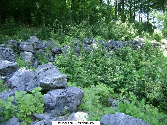 pozele lu proapis13 - ruine;aici erau incartiruitzi soldatzii reginei - POZE