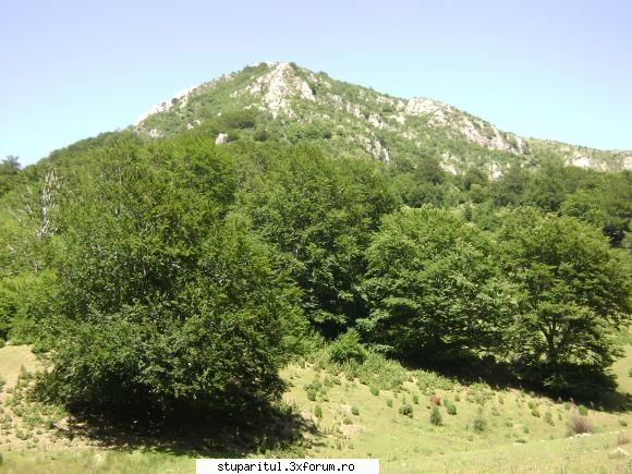 pozele lu proapis13 - proapis13 - POZE