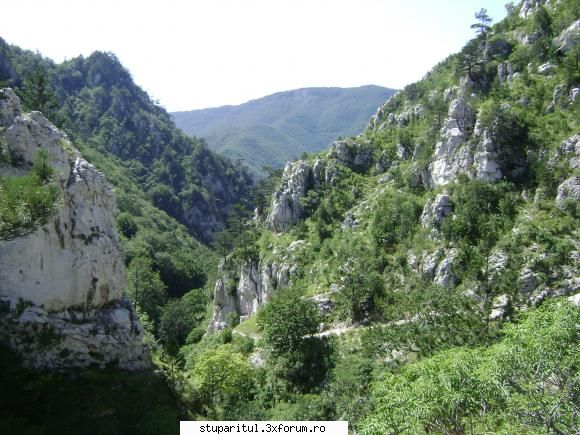 pozele lu proapis13 - proapis13 - POZE