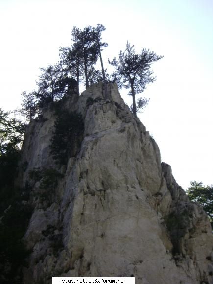 pozele lu proapis13 - proapis13 - POZE