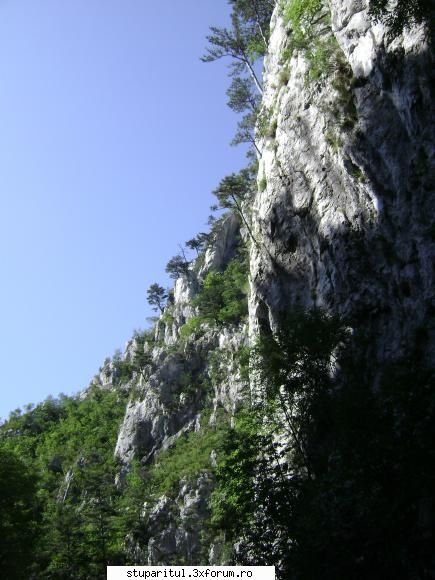 pozele lu proapis13 - proapis13 - POZE