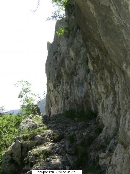 pozele lu proapis13 - poteca de acces spre pisc - POZE