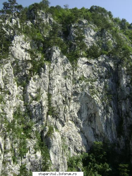 pozele lu proapis13 - zeci de metri de stanca abrupta - POZE