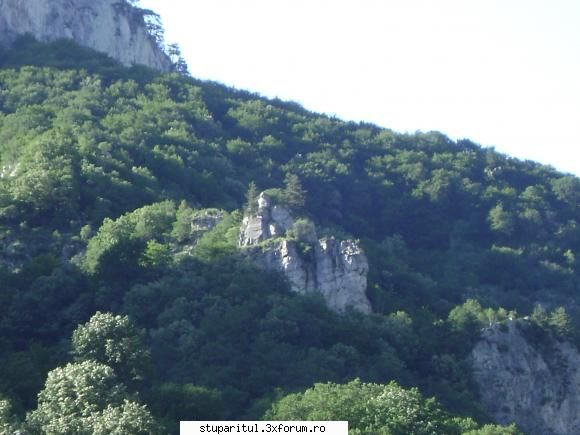pozele lu proapis13 - undeva aici a fost ascunsa o comoara - POZE