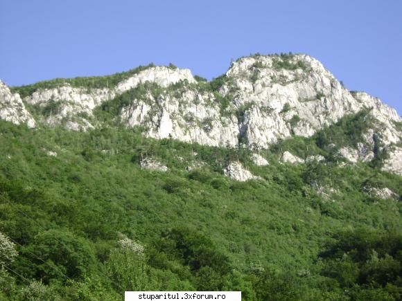 pozele lu proapis13 - proapis13 - POZE