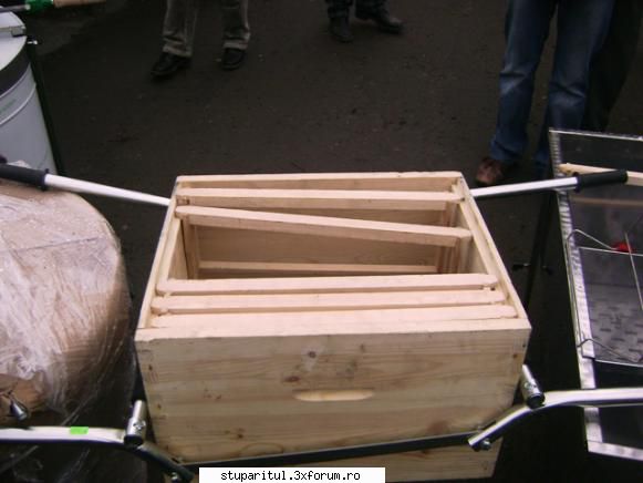 pozele lu proapis13 - proapis13 - POZE