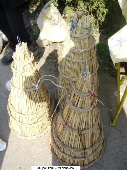 pozele lu proapis13 - proapis13 - POZE