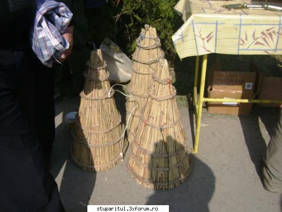 pozele lu proapis13 - proapis13 - POZE