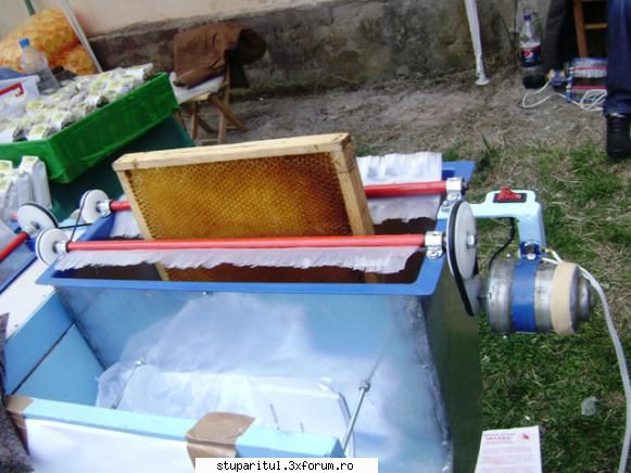 pozele lu proapis13 - proapis13 - POZE