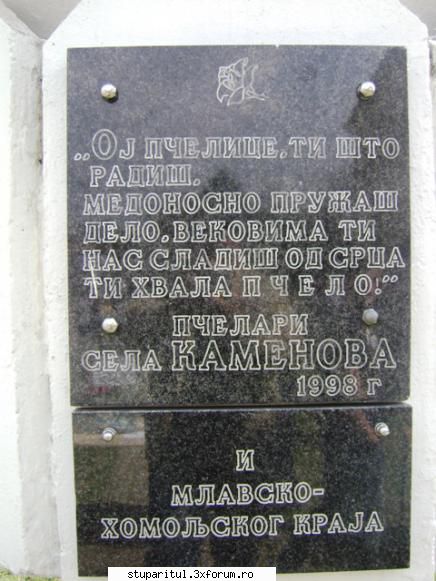 pozele lu proapis13 - Placa de pe soclul primului monument din lume - POZE