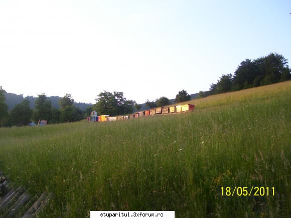 pozele lui Criste Sorin - cristesorin - POZE