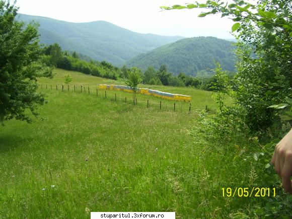 pozele lui Criste Sorin - o stupina frumoasa din apropiere - POZE