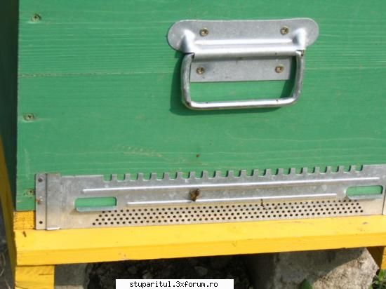 pozele mele - grila antisoareci in pozitia ptr transport - POZE
