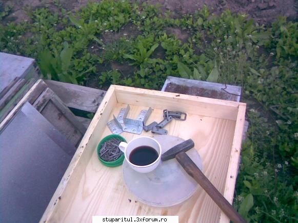 pozele mele - cum isi bea cafeaua stuparu' - POZE