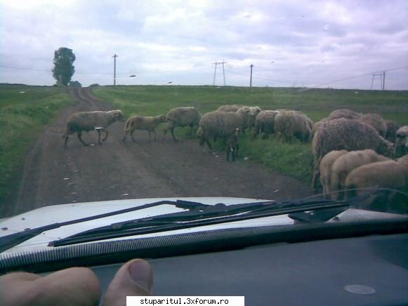 pozele mele - mai ttrerbuie sa cedam si trecerea - POZE
