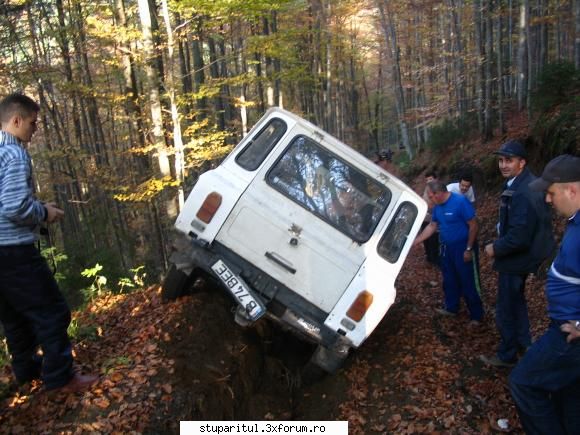 pozele mele - toba nu a avut nimic .... in schimb am ramas fara - POZE