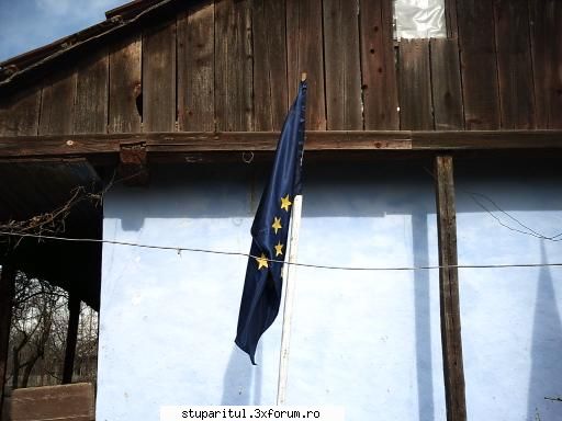 pozitie stupi - si eu am avut 34 de jenti de camion la 60 kg una - BOLI SI DAUNATORI - TRATAMENTE