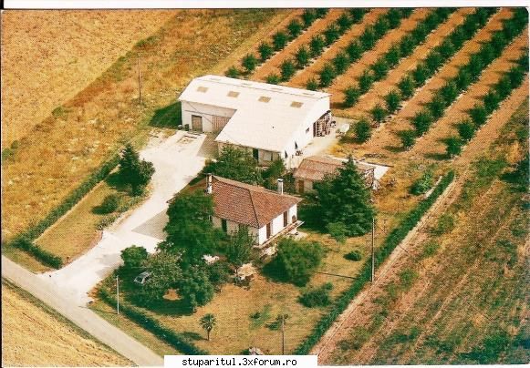 proapi - Vedere aeriana a fermei; in spate este hangarul - PAGINI PERSONALE ! CINE SUNT EU ?