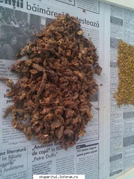 propolis - Bagi panza in congelator si dupa o freci in - PAGINA APICULTORULUI INCEPATOR