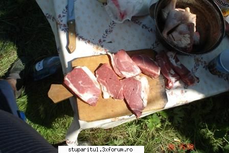 rapita2006-polen - si daca treaba merge bine o tinem numai pe - POZE