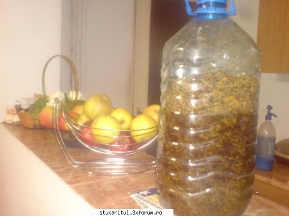 reteta casa,gen protofil toarna peste,3 litri alcool shi lasa macerat intuneric