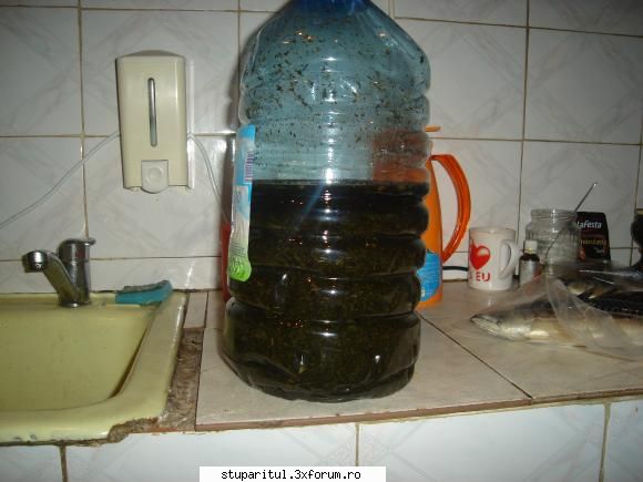 reteta casa,gen protofil sau