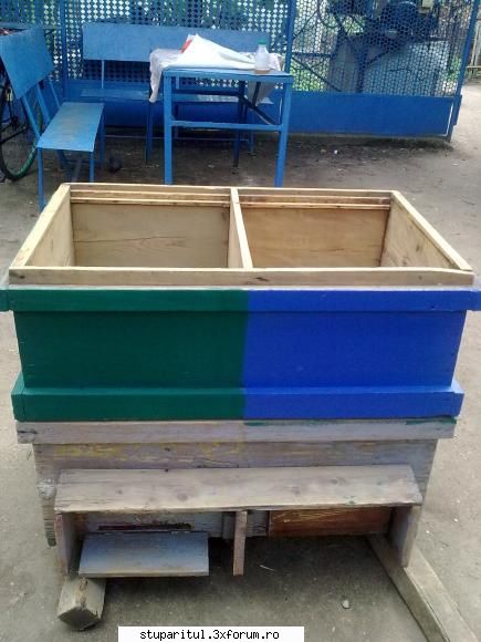 roi - dupa ce am curatat de propolis si am frecat - PAGINA APICULTORULUI INCEPATOR