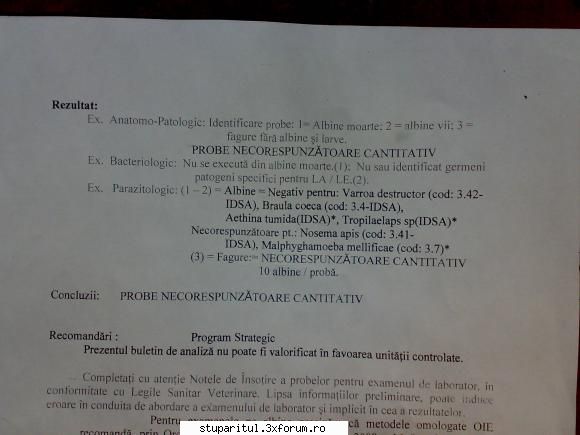 sa fie loca? - poza rezultat analiza - BOLI SI DAUNATORI - TRATAMENTE